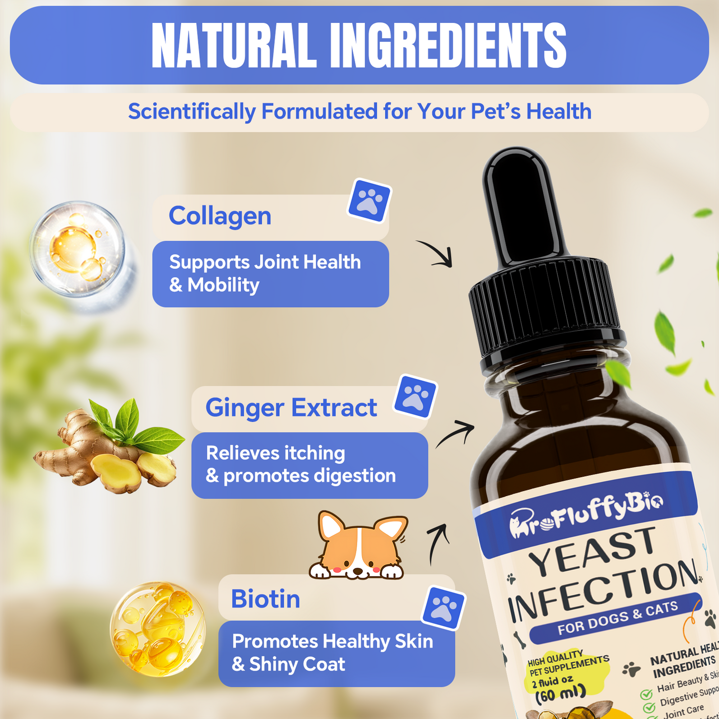 Dog Ear & Skin Relief Drops, Yeast Infection Treatment for Dogs – 60Ml | Soothes Itching, Supports Healthy Ears & Skin, Allergy Relief for Puppies & Dogs