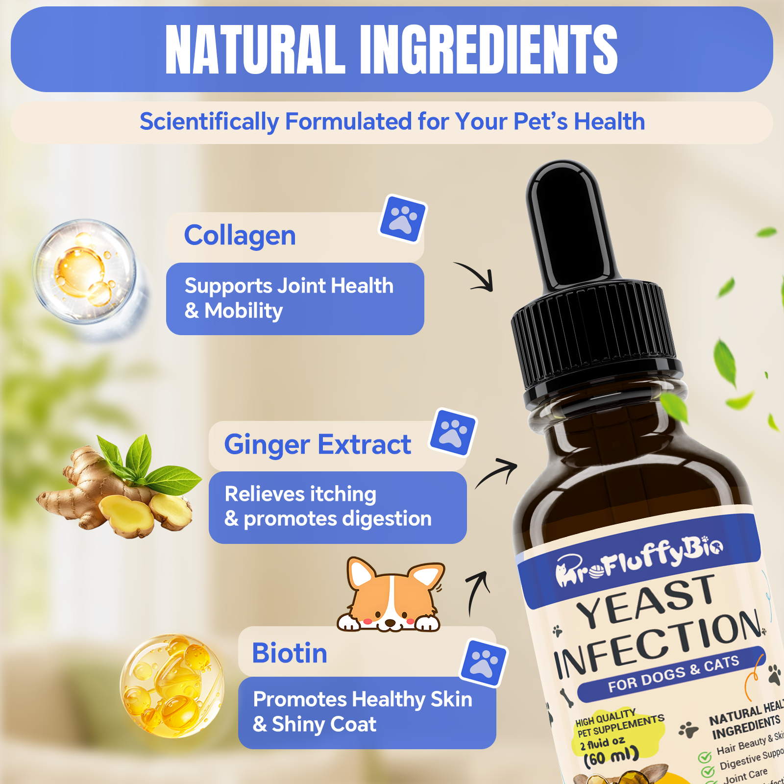 Dog Ear & Skin Relief Drops, Yeast Infection Treatment for Dogs – 60Ml | Soothes Itching, Supports Healthy Ears & Skin, Allergy Relief for Puppies & Dogs